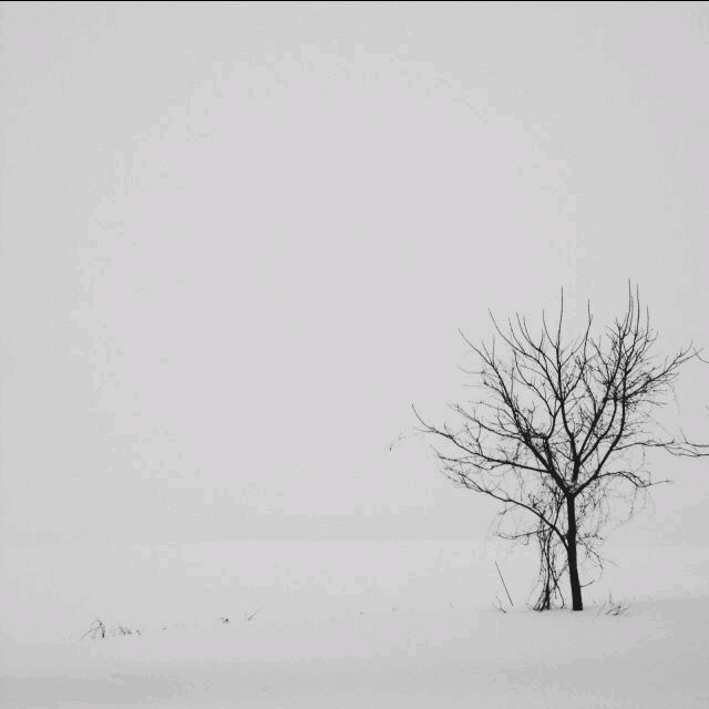 黑白背景