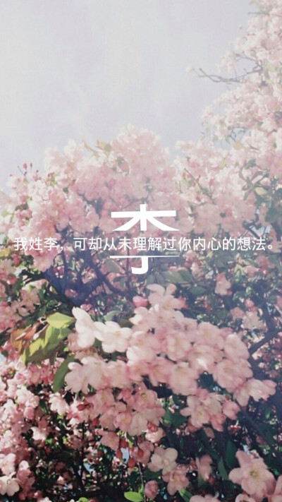 姓氏壁纸