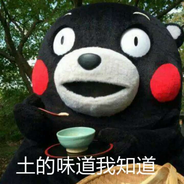 熊本熊 表情包 土的味道我知道