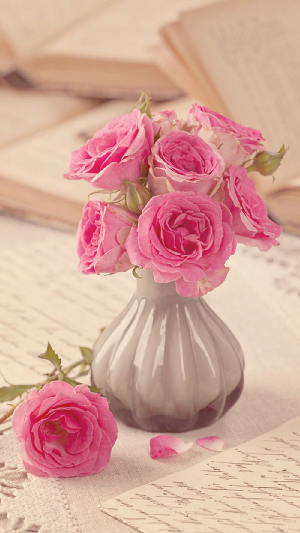 玫瑰花 浪漫手机壁纸图片
