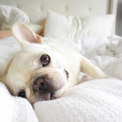 冬天就想呆在暖暖的被窝里看书看电影 因为外面真的好冷