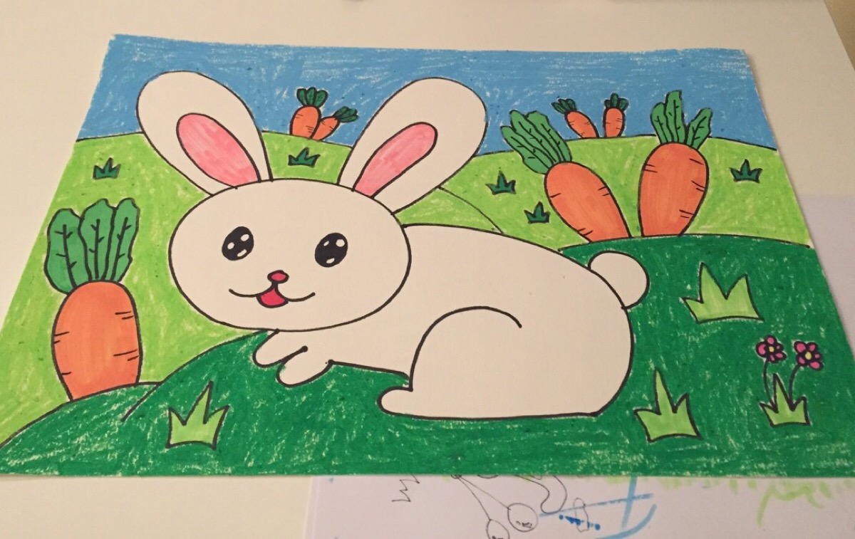 画小动物大全小白兔图片