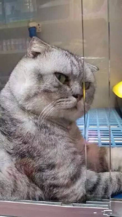 一个眼神杀死你