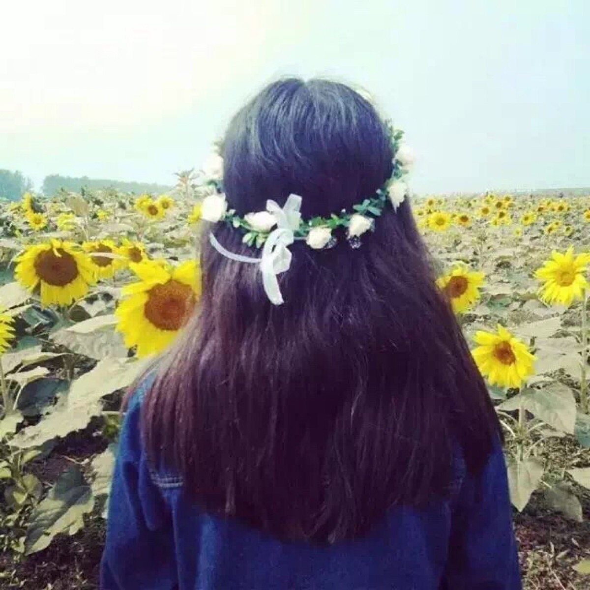 〔情侣头像〕 [一对] [森系情侣范] [男头女头]〔文艺〕〔小清新情侣