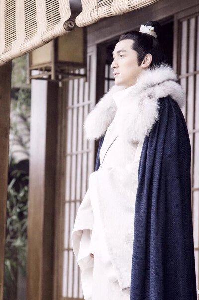 胡歌《琅琊榜》【梅长苏】 《琅琊榜》遥映人间冰雪样,暗香幽浮曲临江