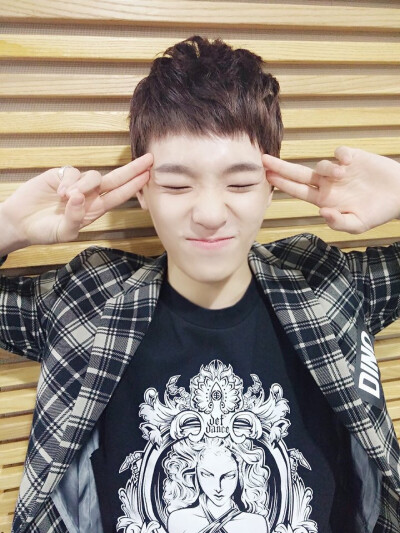 seventeen 17 十七 dino 李灿