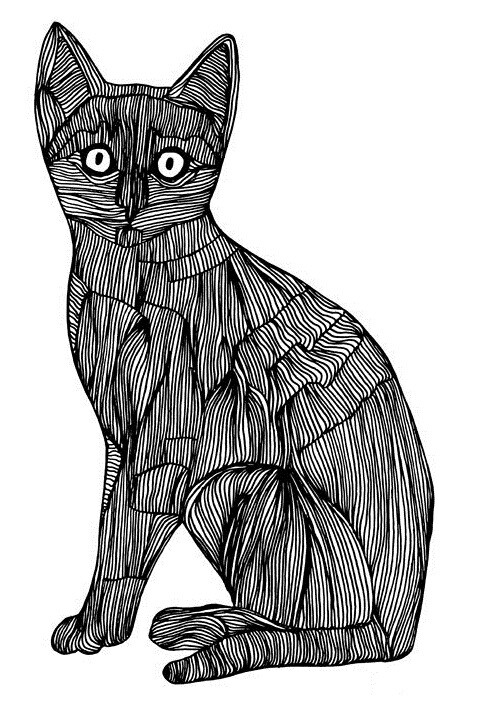 线条黑白稿猫