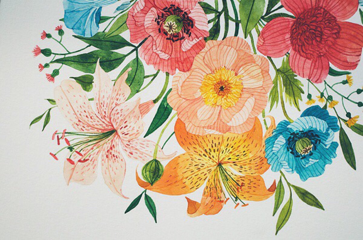 插画家oana befort清新水彩画