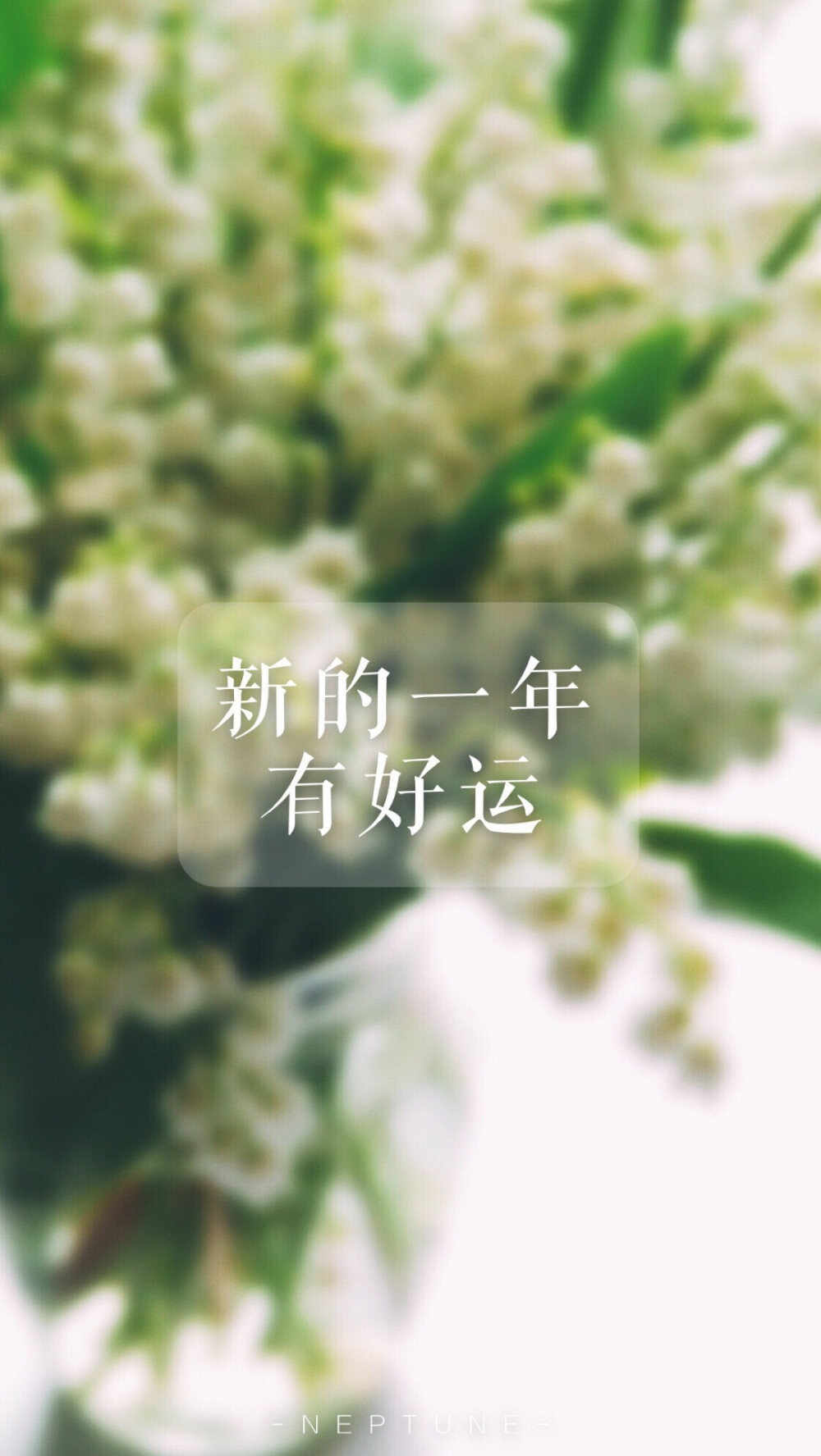 我有一个最简单的愿望 就是希望你们新的一年有好运.
