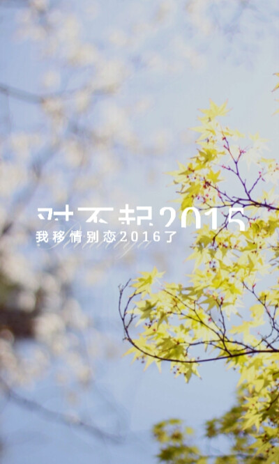 对不起2015,我移情别恋2016了……文字壁纸