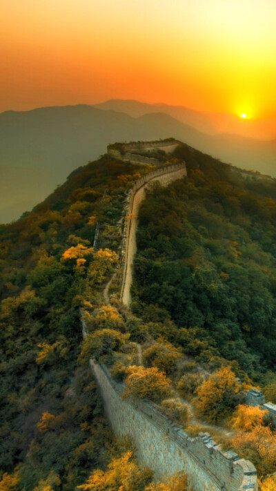 壁纸