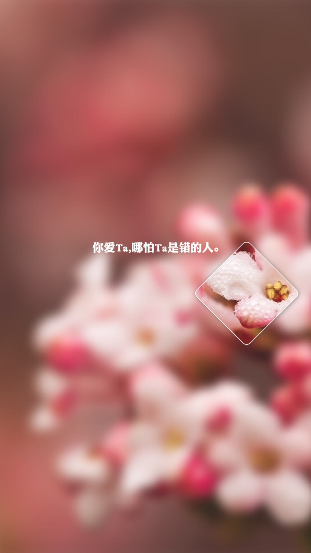 你不爱我 - 堆糖,美图壁纸兴趣社区