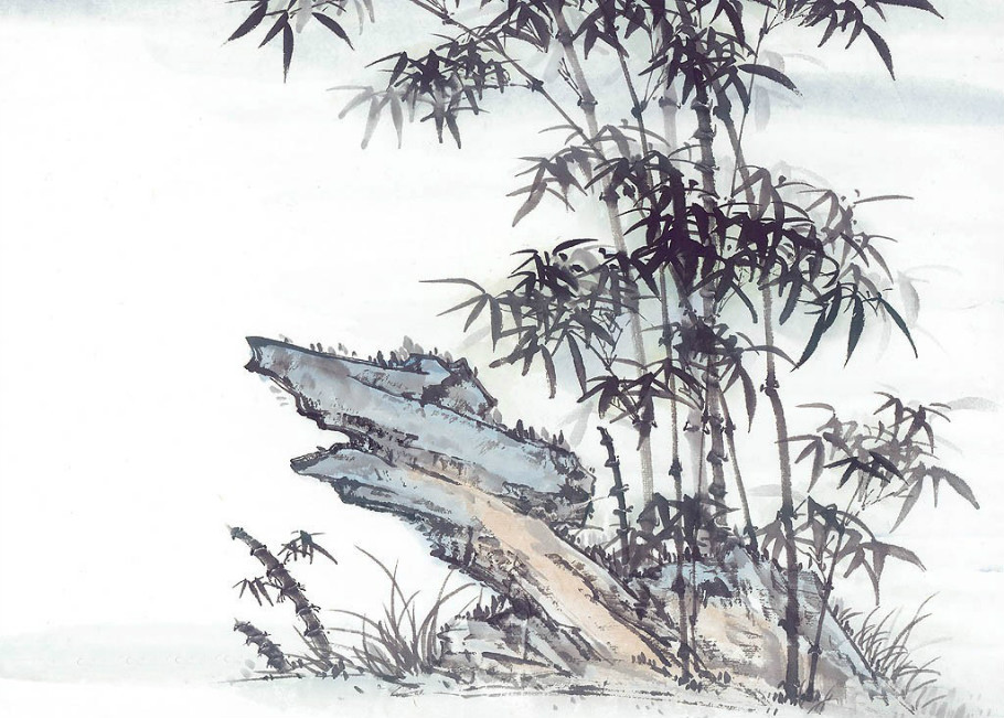 竹子生长在石头中的画图片