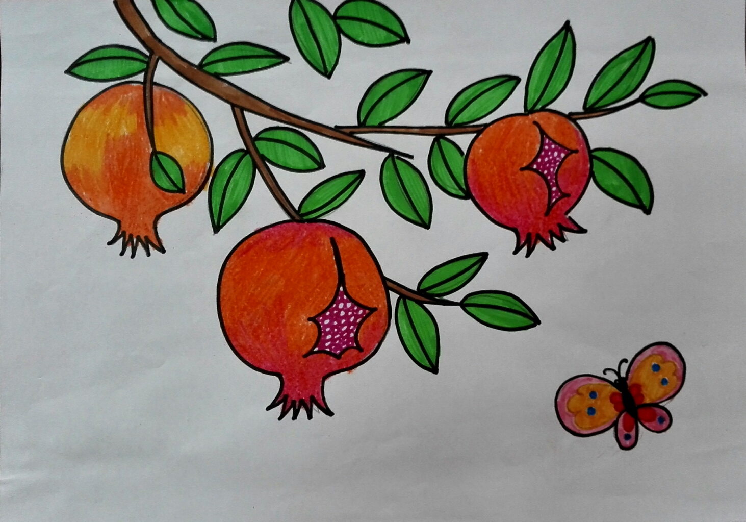 秋天水果儿童画图片