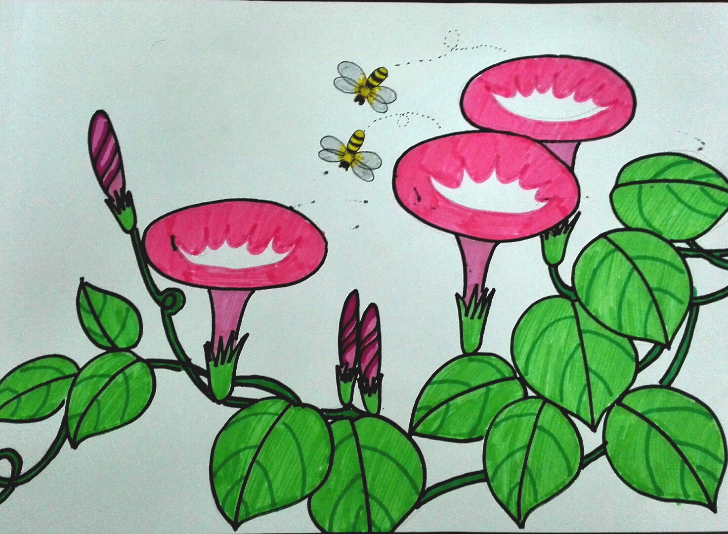 花儿朵朵儿童画二年级图片