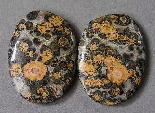 豹纹石