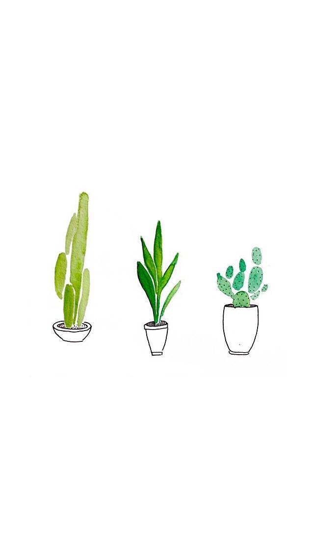 白底 手绘 植物 插画 简约 壁纸_差差君一