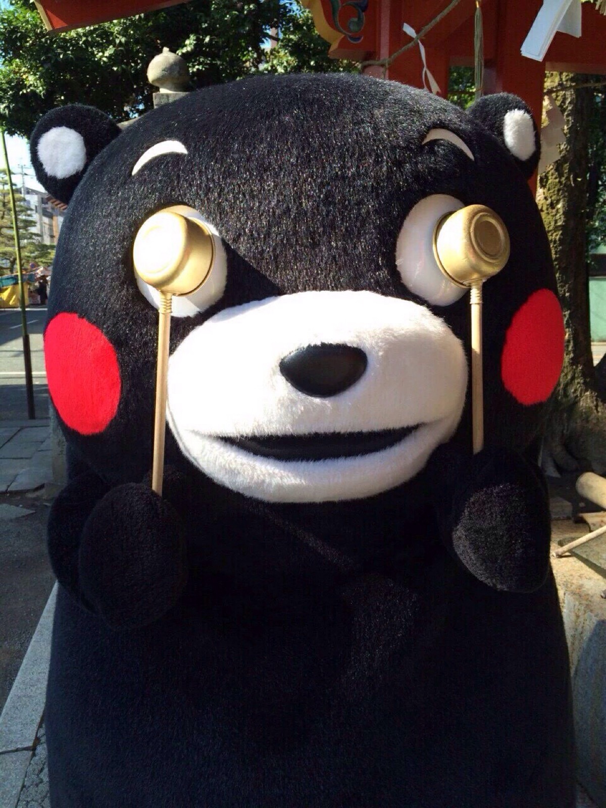 部长 熊本熊 kumamon～炒鸡萌～ 看不见我