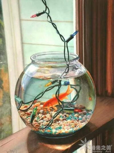 金鱼缸 - 堆糖,美图壁纸兴趣社区