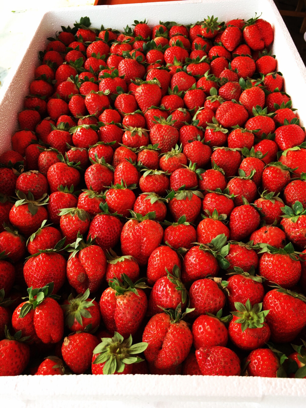 20160117雨天滞销的草莓们