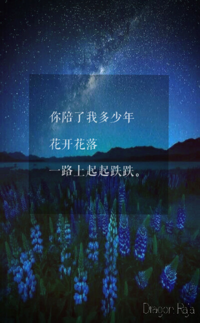 龙族