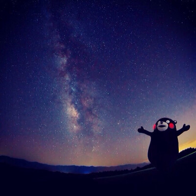 熊本熊!部长!kumamon! 好萌 头像