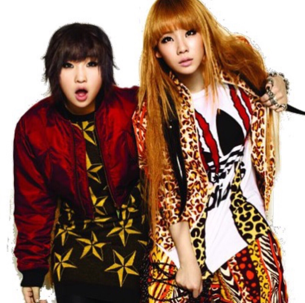 2ne1 李彩琳 孔敏智