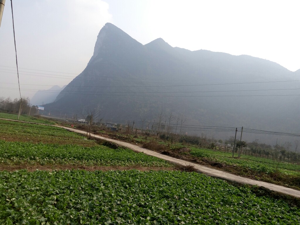 远处的山形状奇特,都叫它"鹰嘴崖"
