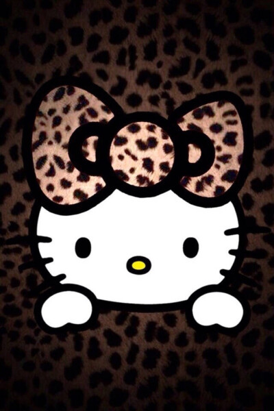 kitty豹纹 