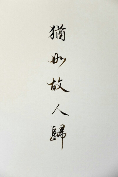 角虫手绘 - 堆糖,美图壁纸兴趣社区