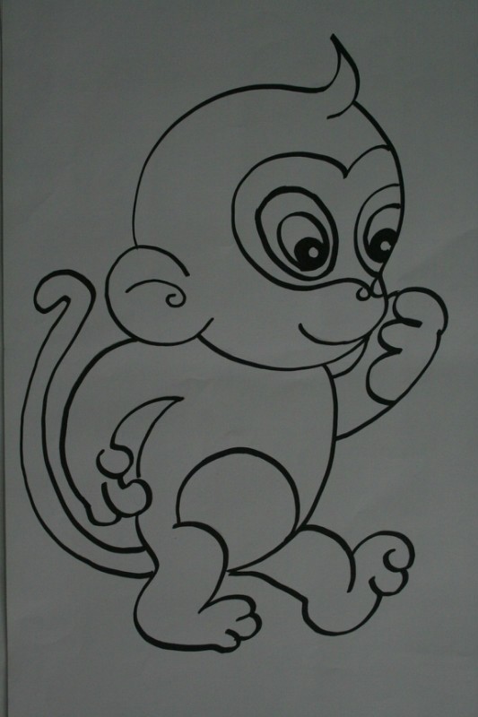 画猴子真实图片