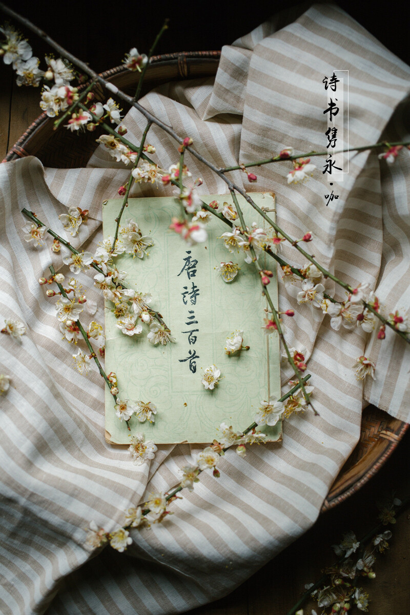 诗书隽永山林食纪67