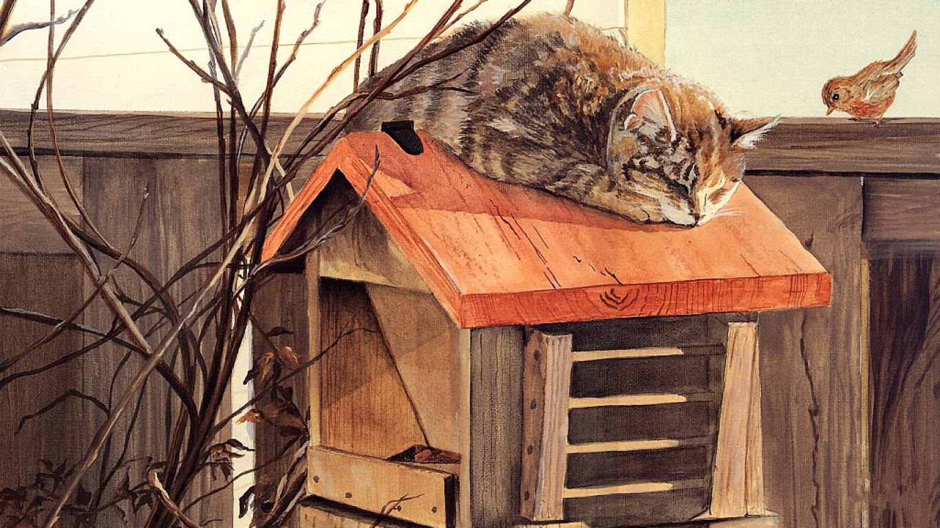 猫,童话风,插画 - 堆糖,美图壁纸兴趣社区