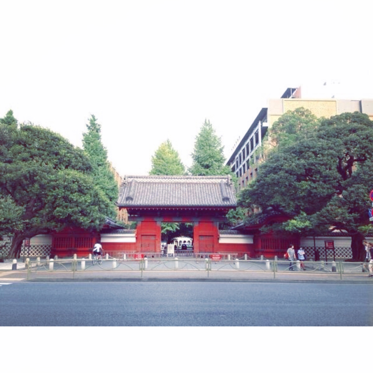 东京大学赤门图片