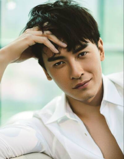 郑元畅1982年6月19日出生于台湾省台中市北屯区,中国台湾男演员,歌手.