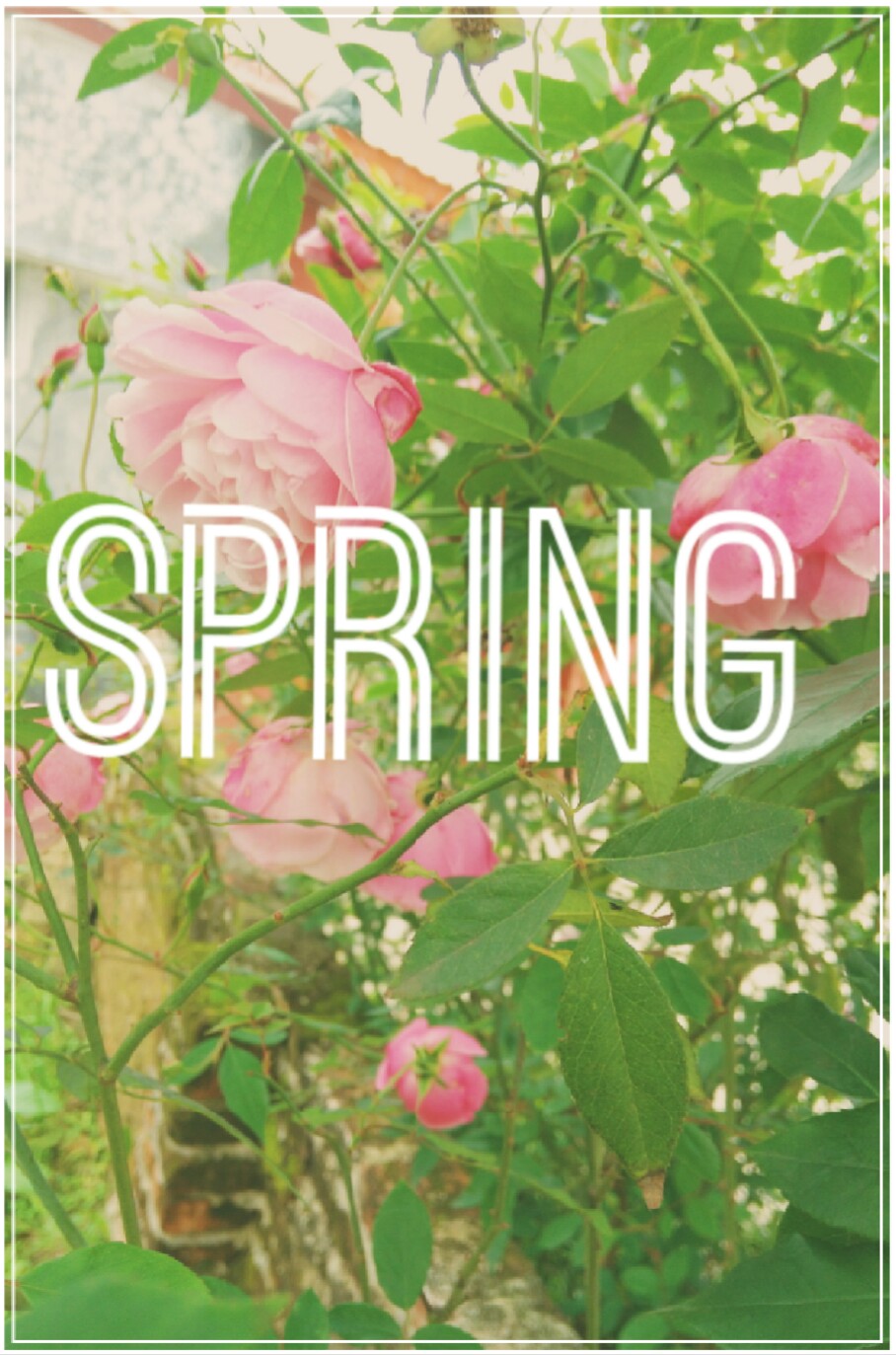 spring