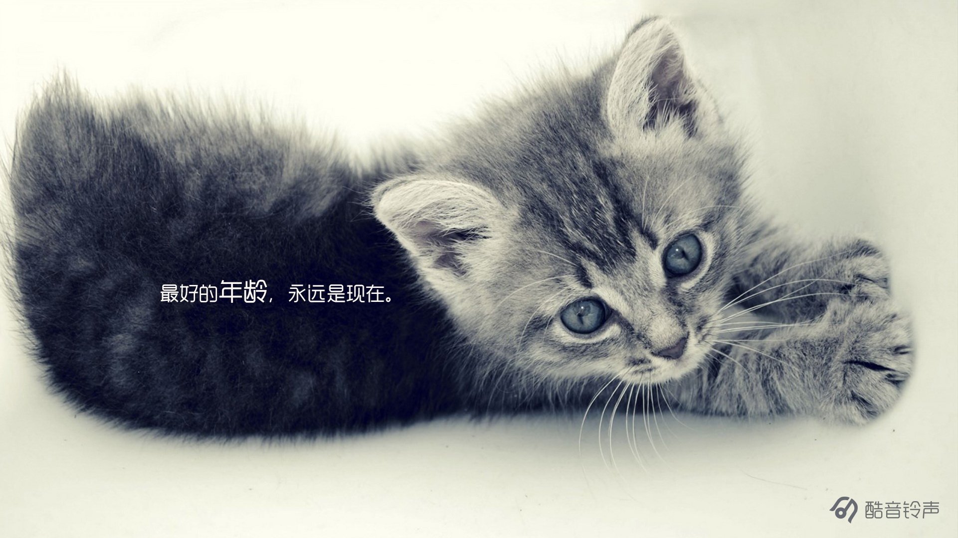 翻个身继续睡觉