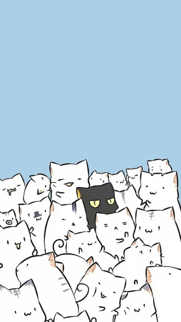 白猫黑猫蓝底萌猫萌宠q版可爱壁纸可爱猫咪