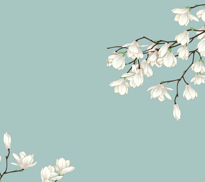 0 3 梓劢橙瑚  发布到  ppt 图片评论 0条  收集   点赞  评论  古风