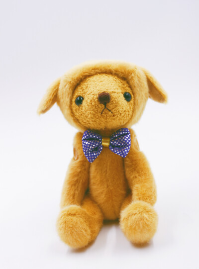 泰迪珍藏teddy bear collection 狗年泰迪