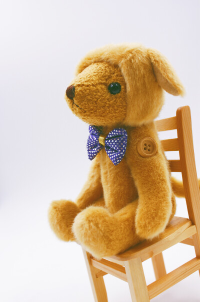 泰迪珍藏teddy bear collection 狗年泰迪