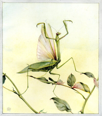 昆虫儿童画作品