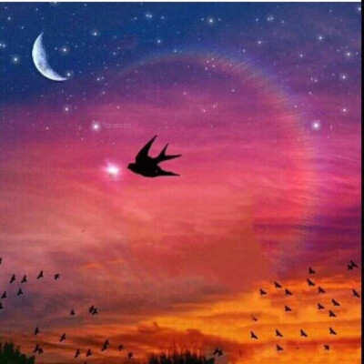 夕阳背景图第一张是效果图最后一张素材软件:天天p图