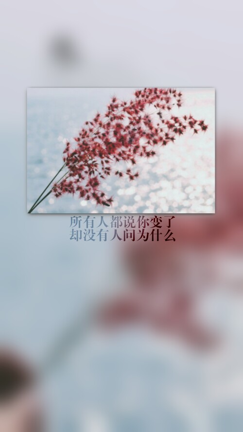 500_889 竖版 竖屏