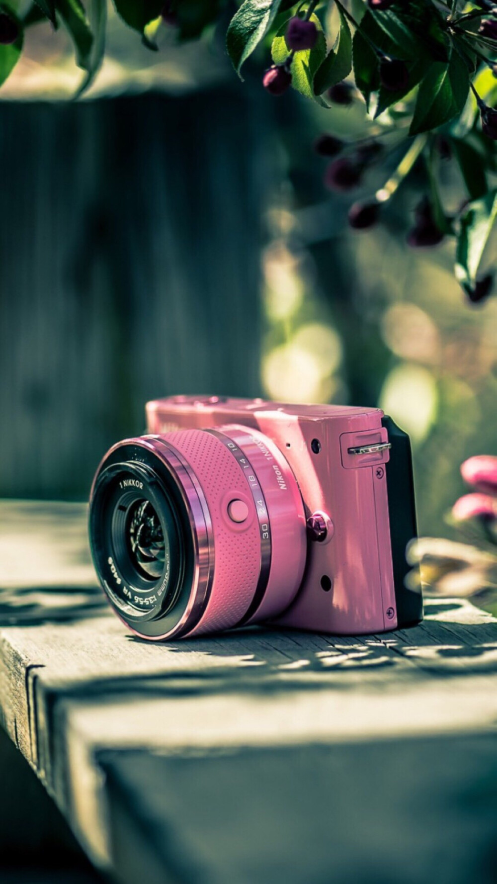 粉色相机