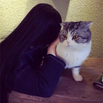 女生抱猫咪头像不露脸图片