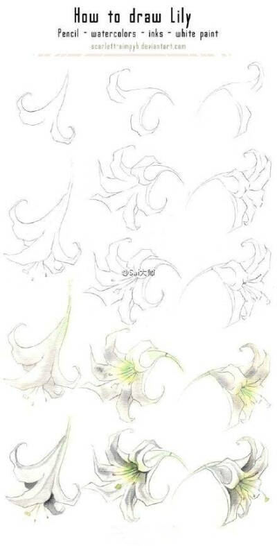 画画