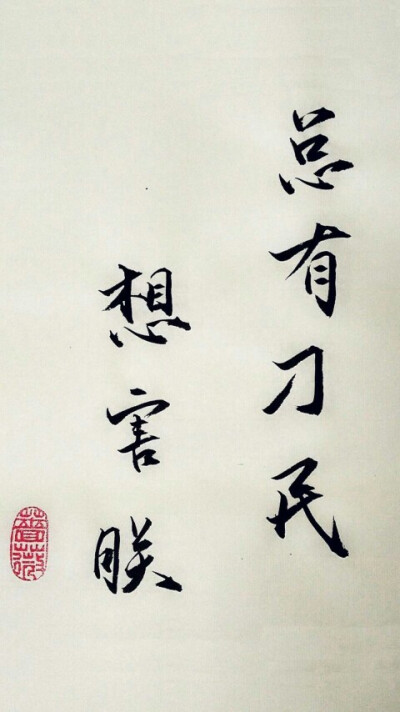 有刁民想害朕