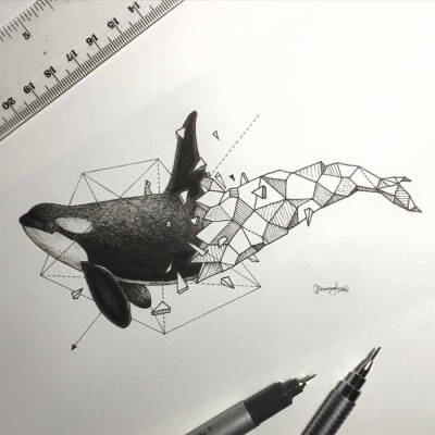 与动物融合插画geometrica tattoo一半几何一半动物手绘图鲸鱼插画