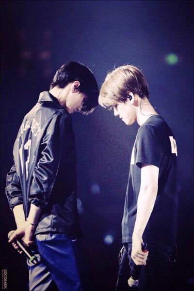 exo*边伯贤*吴世勋*鹿晗*吴亦凡*张艺兴*朴灿烈*黄子韬*都暻秀*金钟仁